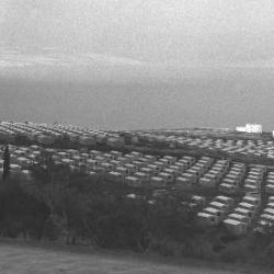 Irit Katz awarded for her book ‘The Common Camp'